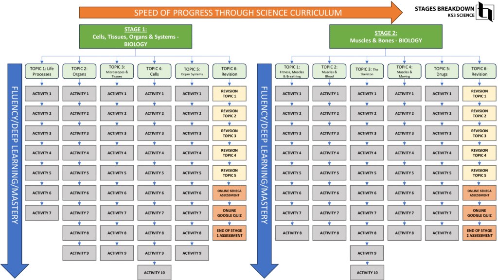 Ks3 Science Stages Breakdown