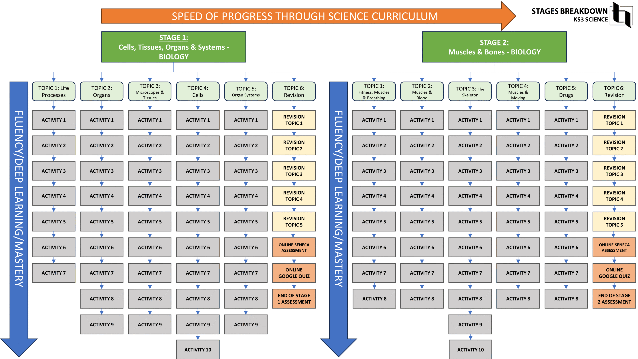 Ks3 Science Stages Breakdown